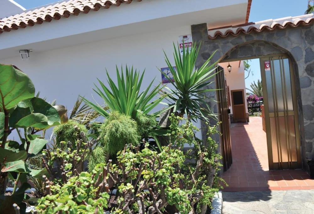 Los Cisnes Encantadora Casa Con Jardin Y Estudio Vista Al Mar El Médano Exteriér fotografie